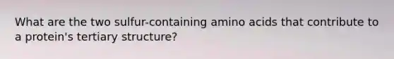 What are the two sulfur-containing amino acids that contribute to a protein's tertiary structure?