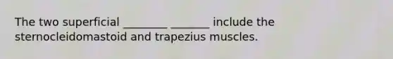 The two superficial ________ _______ include the sternocleidomastoid and trapezius muscles.