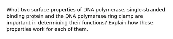 What two surface properties of DNA polymerase, single-stranded binding protein and the DNA polymerase ring clamp are important in determining their functions? Explain how these properties work for each of them.