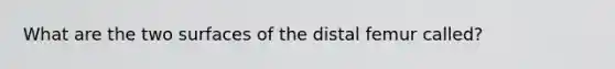 What are the two surfaces of the distal femur called?