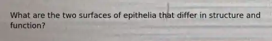 What are the two surfaces of epithelia that differ in structure and function?