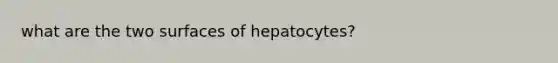 what are the two surfaces of hepatocytes?