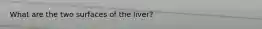 What are the two surfaces of the liver?