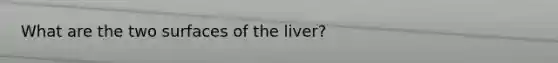 What are the two surfaces of the liver?