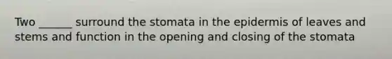 Two ______ surround the stomata in the epidermis of leaves and stems and function in the opening and closing of the stomata