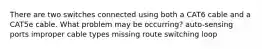 There are two switches connected using both a CAT6 cable and a CAT5e cable. What problem may be occurring? auto-sensing ports improper cable types missing route switching loop