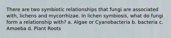 There are two symbiotic relationships that fungi are associated with, lichens and mycorrhizae. In lichen symbiosis, what do fungi form a relationship with? a. Algae or Cyanobacteria b. bacteria c. Amoeba d. Plant Roots