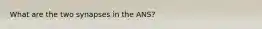 What are the two synapses in the ANS?