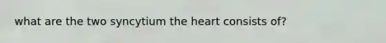 what are the two syncytium the heart consists of?