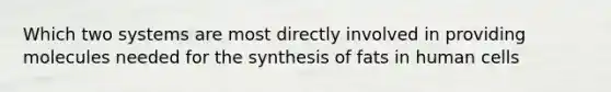 Which two systems are most directly involved in providing molecules needed for the synthesis of fats in human cells