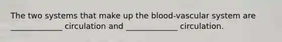 The two systems that make up the blood-vascular system are _____________ circulation and _____________ circulation.