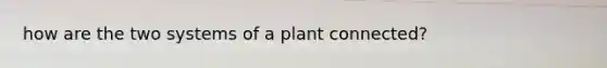 how are the two systems of a plant connected?