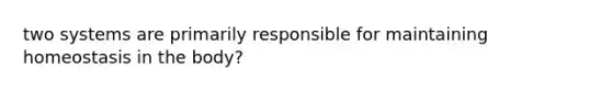 two systems are primarily responsible for maintaining homeostasis in the body?