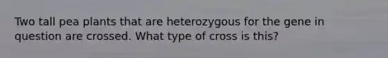 Two tall pea plants that are heterozygous for the gene in question are crossed. What type of cross is this?