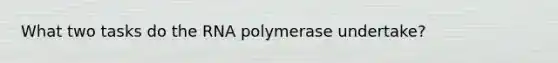 What two tasks do the RNA polymerase undertake?