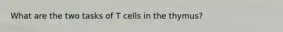 What are the two tasks of T cells in the thymus?