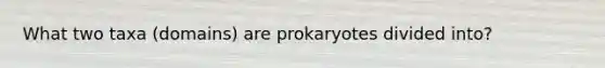 What two taxa (domains) are prokaryotes divided into?