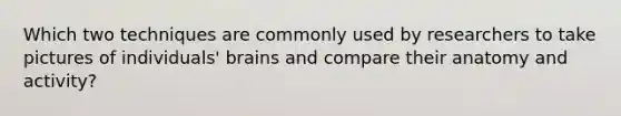 Which two techniques are commonly used by researchers to take pictures of individuals' brains and compare their anatomy and activity?