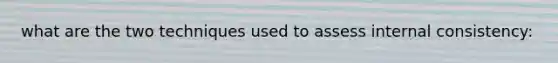 what are the two techniques used to assess internal consistency: