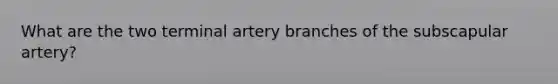 What are the two terminal artery branches of the subscapular artery?