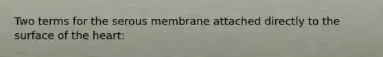 Two terms for the serous membrane attached directly to the surface of the heart: