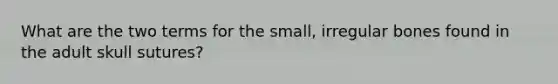 What are the two terms for the small, irregular bones found in the adult skull sutures?