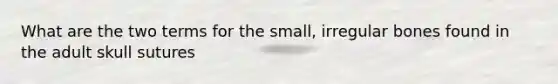 What are the two terms for the small, irregular bones found in the adult skull sutures