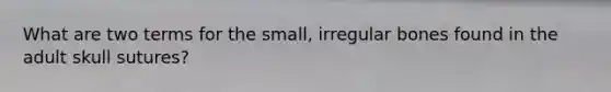 What are two terms for the small, irregular bones found in the adult skull sutures?