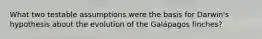 What two testable assumptions were the basis for Darwin's hypothesis about the evolution of the Galápagos finches?