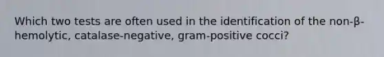 Which two tests are often used in the identification of the non-β-hemolytic, catalase-negative, gram-positive cocci?