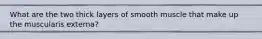 What are the two thick layers of smooth muscle that make up the muscularis externa?