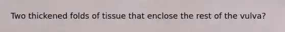 Two thickened folds of tissue that enclose the rest of the vulva?