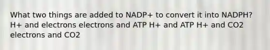 What two things are added to NADP+ to convert it into NADPH? H+ and electrons electrons and ATP H+ and ATP H+ and CO2 electrons and CO2