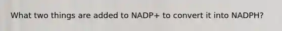 What two things are added to NADP+ to convert it into NADPH?