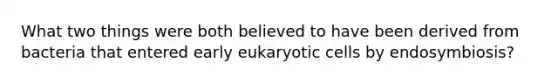 What two things were both believed to have been derived from bacteria that entered early eukaryotic cells by endosymbiosis?