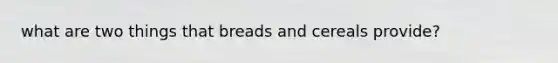 what are two things that breads and cereals provide?