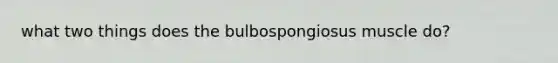 what two things does the bulbospongiosus muscle do?