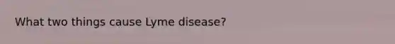 What two things cause Lyme disease?