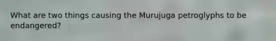 What are two things causing the Murujuga petroglyphs to be endangered?