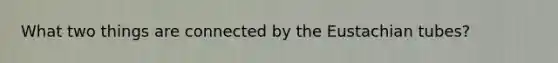 What two things are connected by the Eustachian tubes?