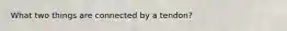 What two things are connected by a tendon?