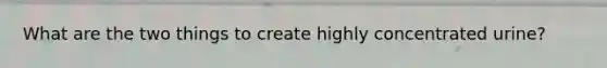 What are the two things to create highly concentrated urine?