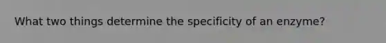 What two things determine the specificity of an enzyme?