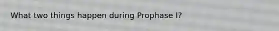 What two things happen during Prophase I?