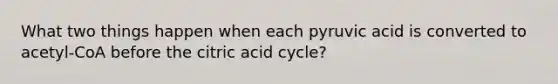 What two things happen when each pyruvic acid is converted to acetyl-CoA before the citric acid cycle?