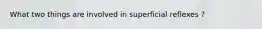 What two things are involved in superficial reflexes ?