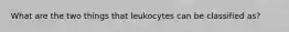 What are the two things that leukocytes can be classified as?