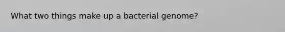 What two things make up a bacterial genome?