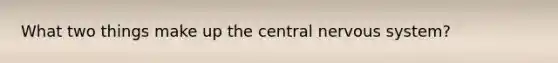 What two things make up the central nervous system?