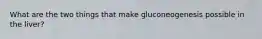 What are the two things that make gluconeogenesis possible in the liver?